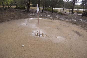 Wet Weepers